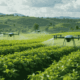 Precision Agriculture